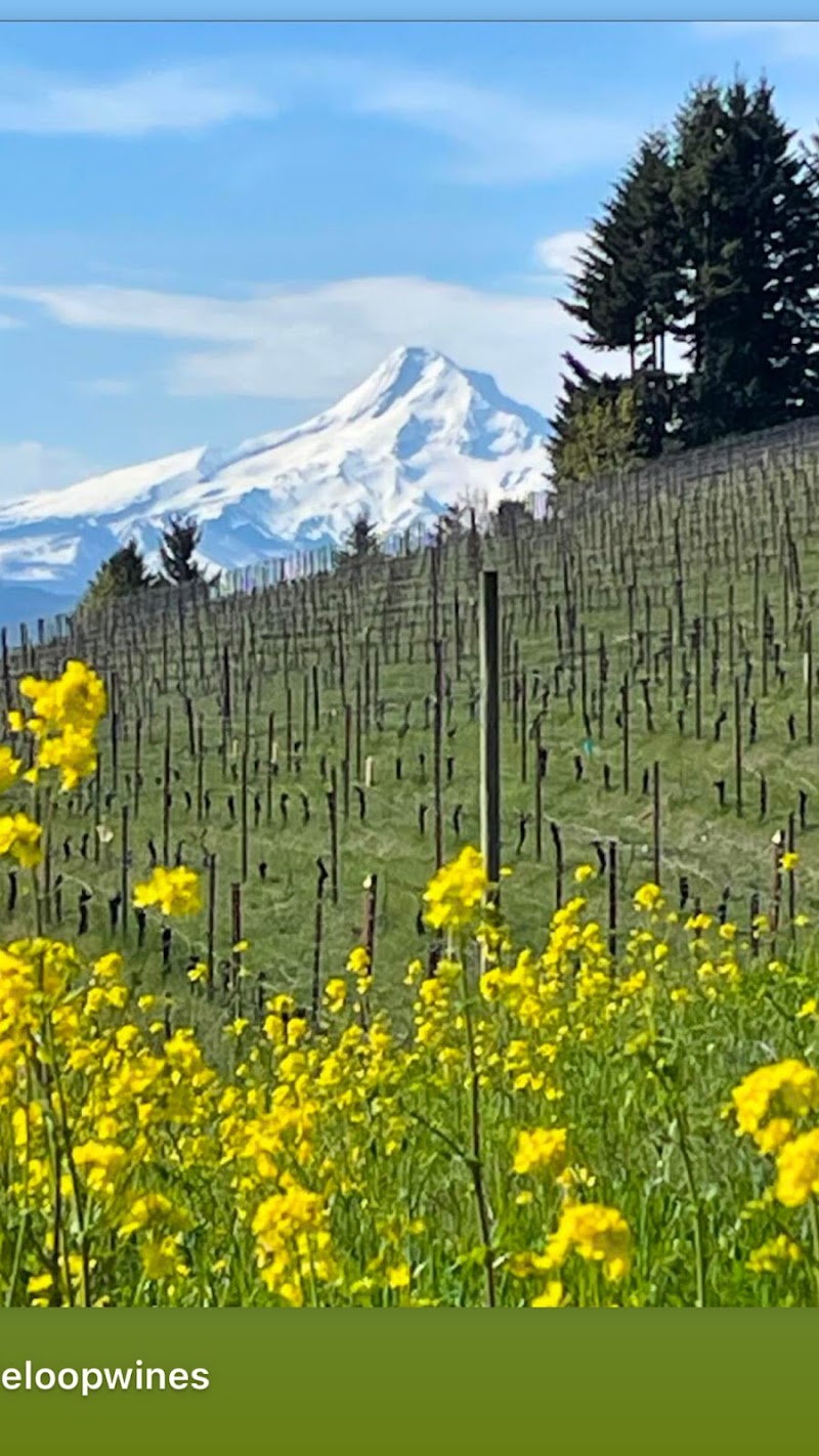 Photo of Loop de Loop Wines