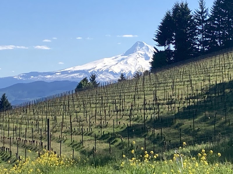 Photo of Loop de Loop Wines