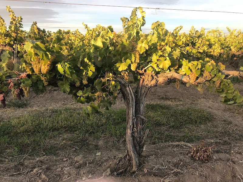 Photo of Cedergreen Cellars Winery and Tasting Room