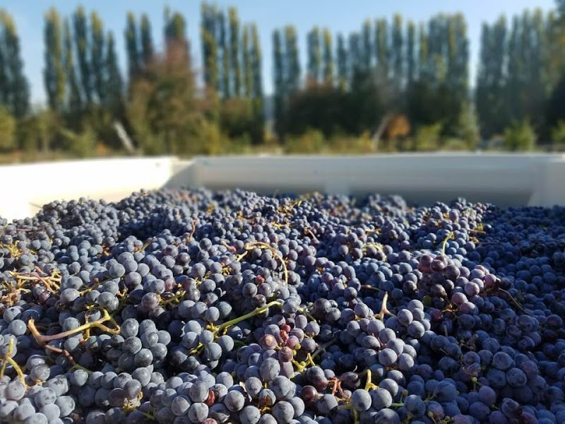 Photo of Cedergreen Cellars Winery and Tasting Room