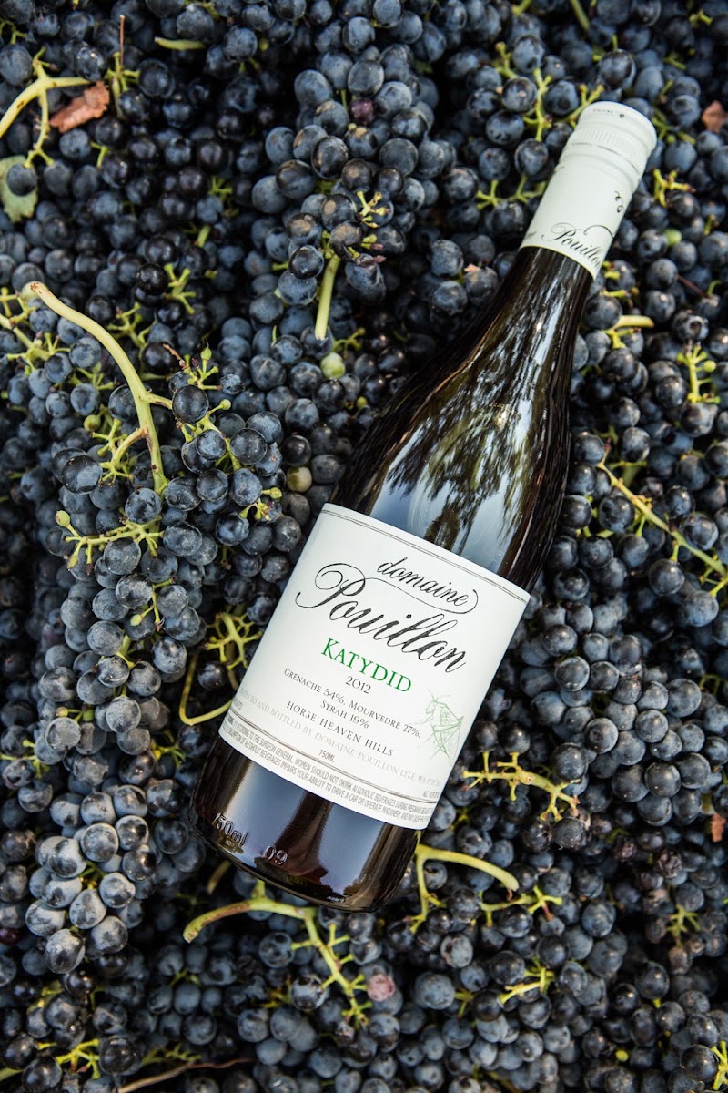 Photo of Domaine Pouillon