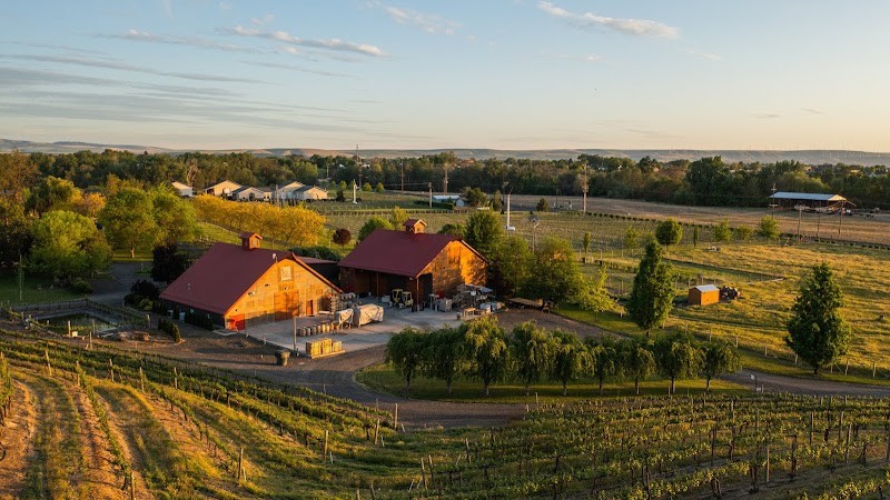Photo of Balboa Winery