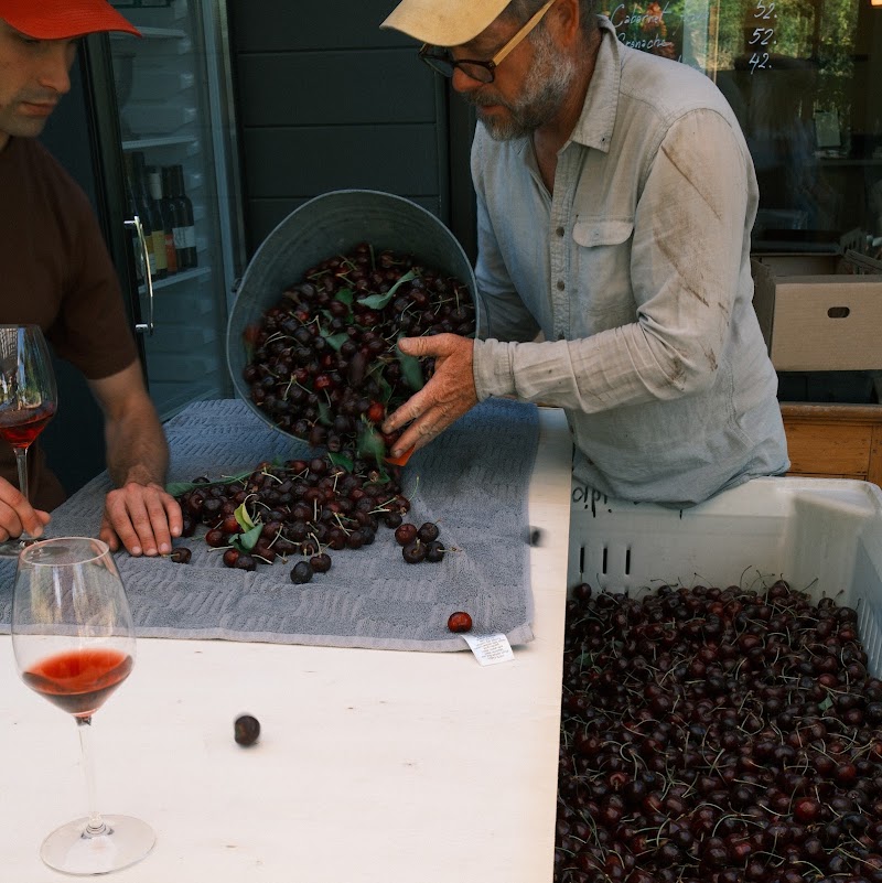 Idiot's Grace Wines