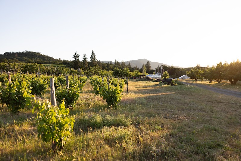 Photo of Idiot's Grace Wines