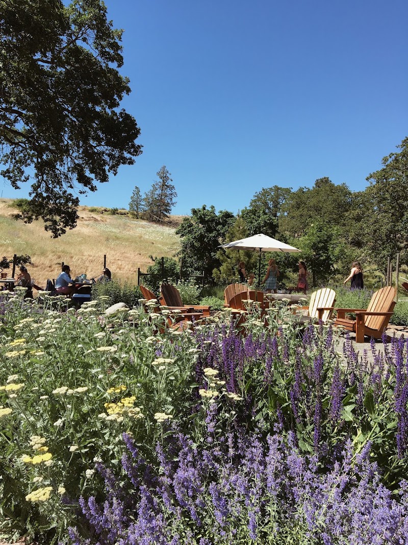 Photo of Syncline Winery