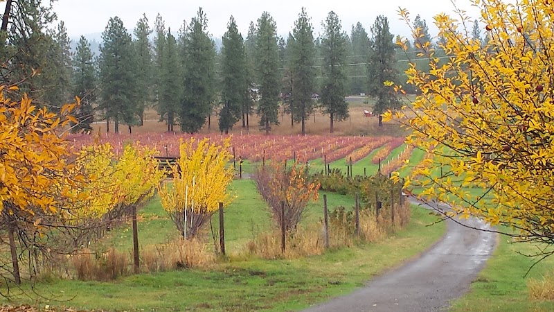 Photo of Two Winey Bitches The Country Winery