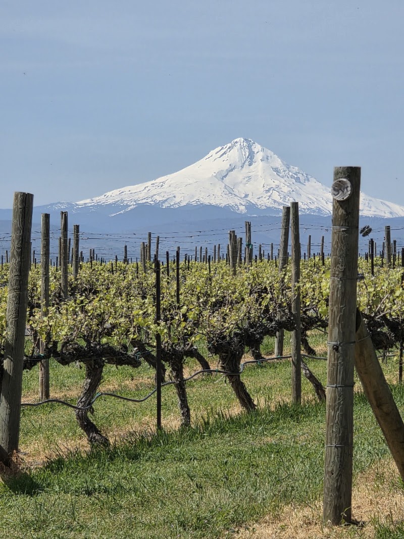 Cascade Cliffs Vineyard & Winery