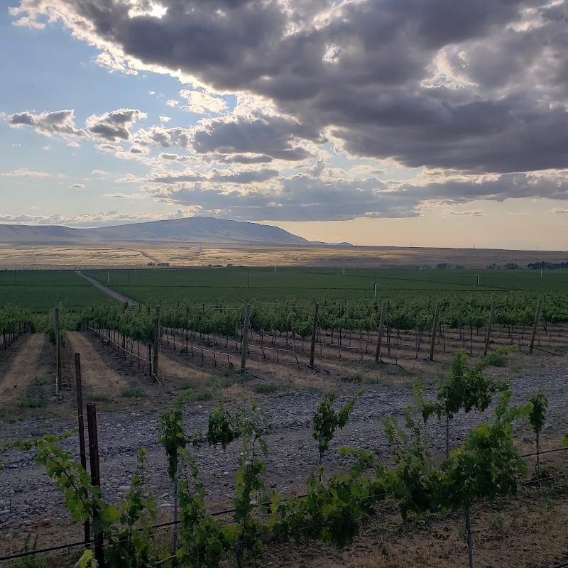 Photo of Broken Antler Winery