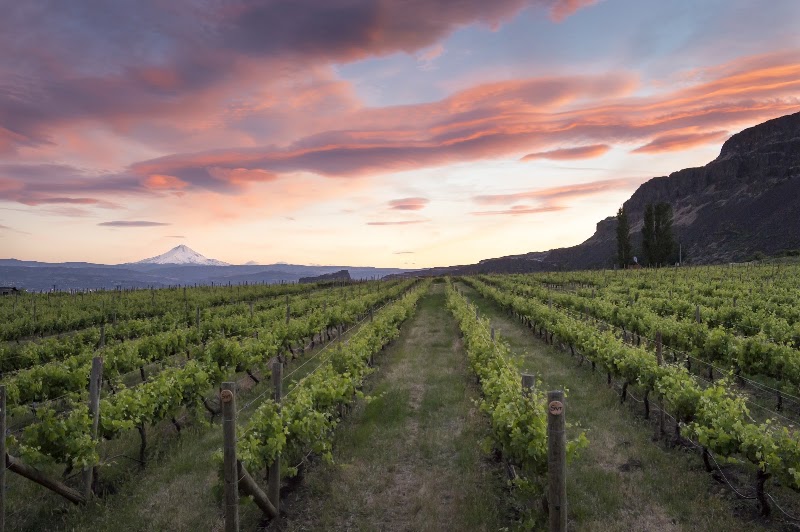 Photo of Cascade Cliffs Winery & Tasting Room