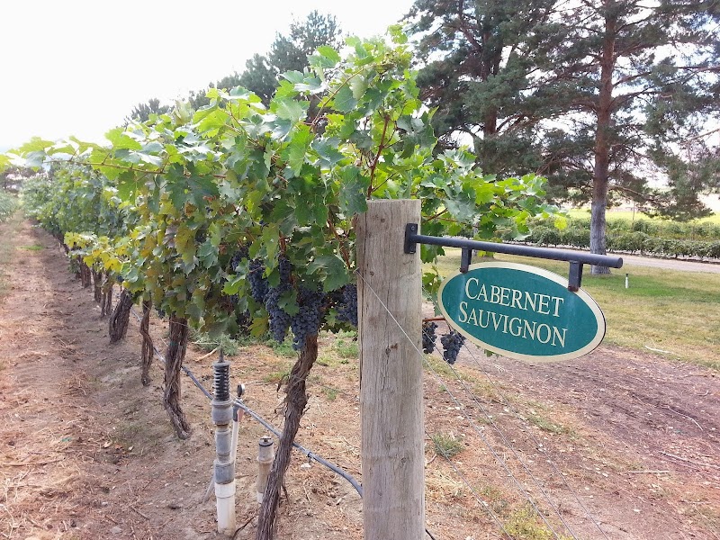 Photo of Finn Hill Winery LLC
