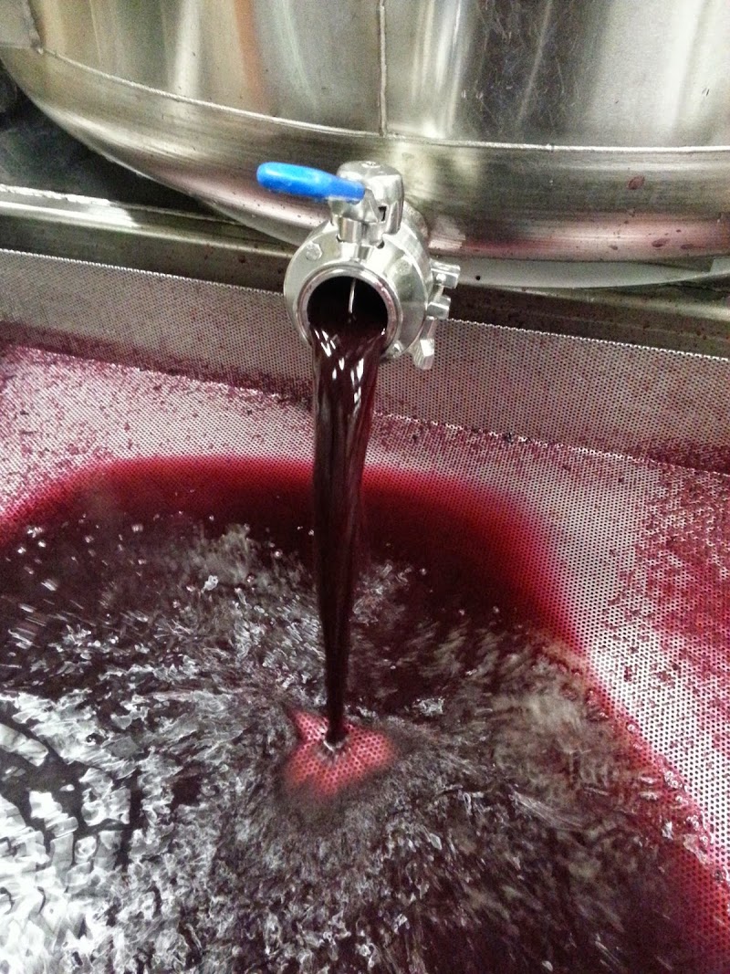 Photo of Finn Hill Winery LLC