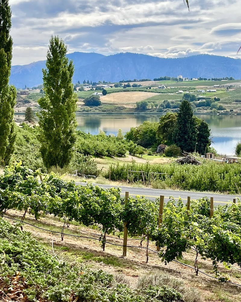 Photo of Tildio Winery