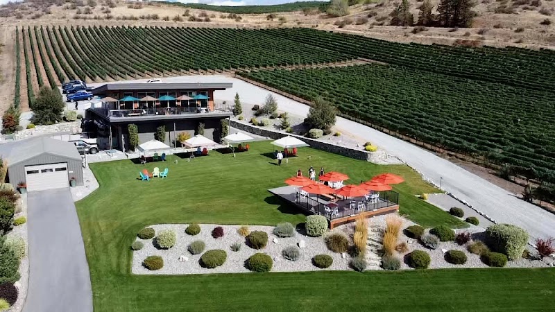Photo of Amos Rome Vineyards