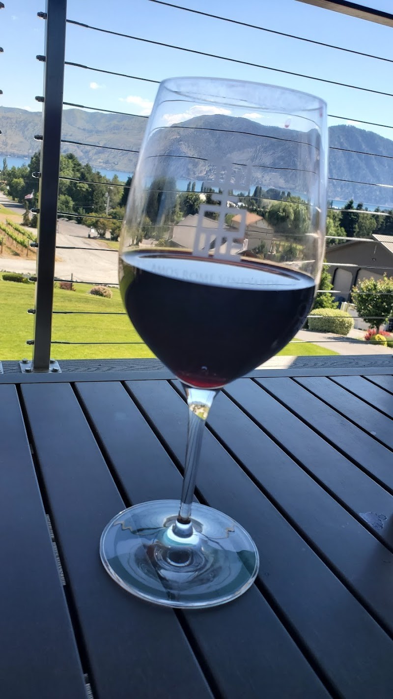 Photo of Amos Rome Vineyards