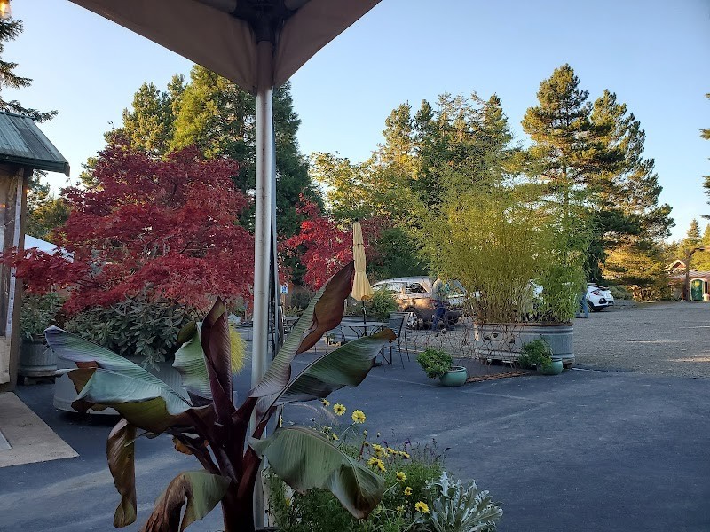 Photo of Bainbridge Vineyards