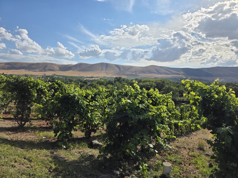 Photo of Elk Haven Winery