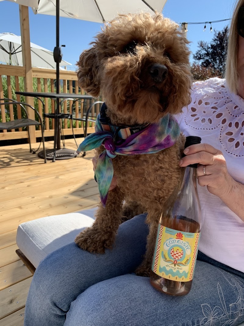 Photo of W.T. Vintners