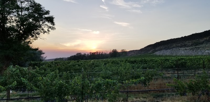 Photo of Heron Bluff Vineyard and Winery