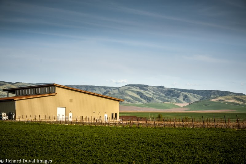 Photo of Dusted Valley Tasting Room Walla Walla