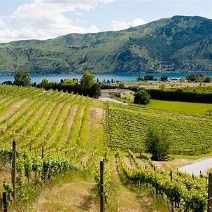 Photo of Hard Row to Hoe Vineyards