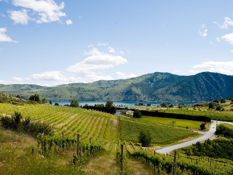 Photo of Hard Row to Hoe Vineyards