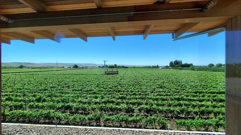 Photo of Rotie Cellars
