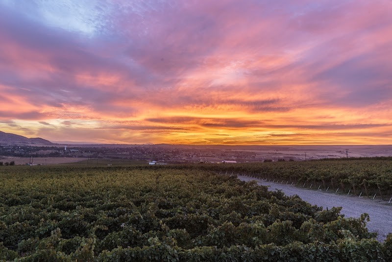 Photo of Obelisco Estate Winery, Warehouse District