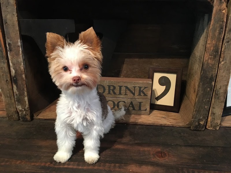 Photo of Viscon Cellars