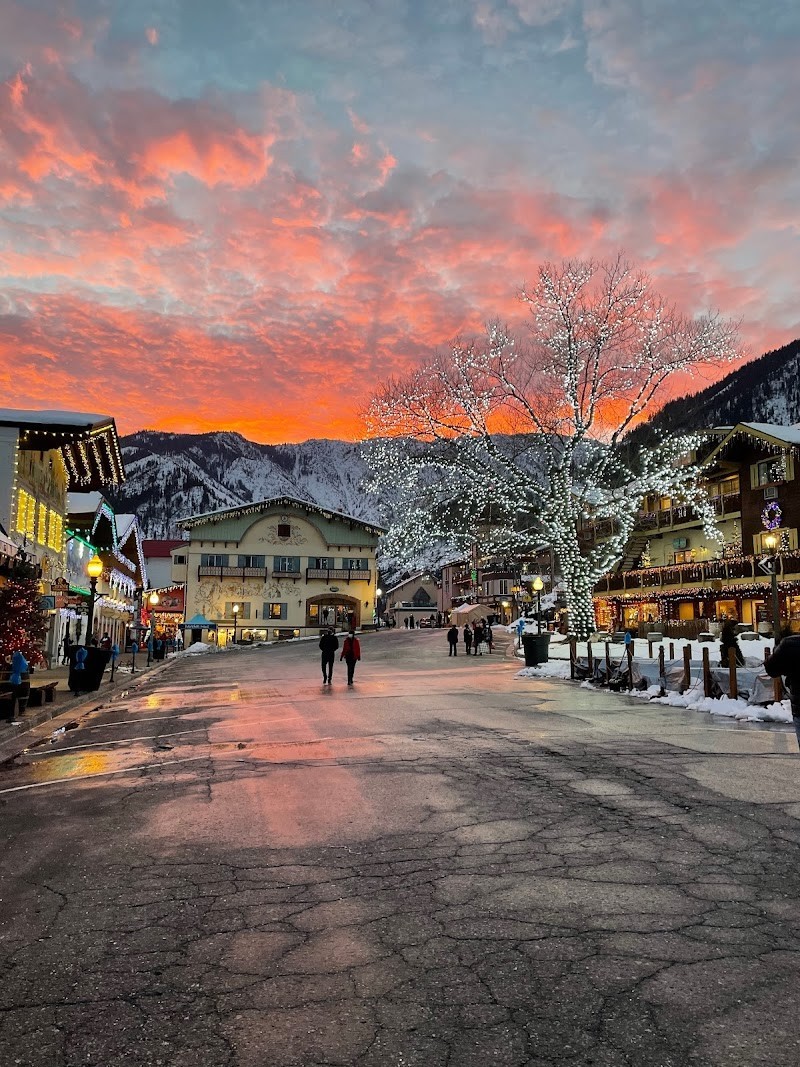 Photo of Evergreen Family Wines (formally Ryan Patrick)