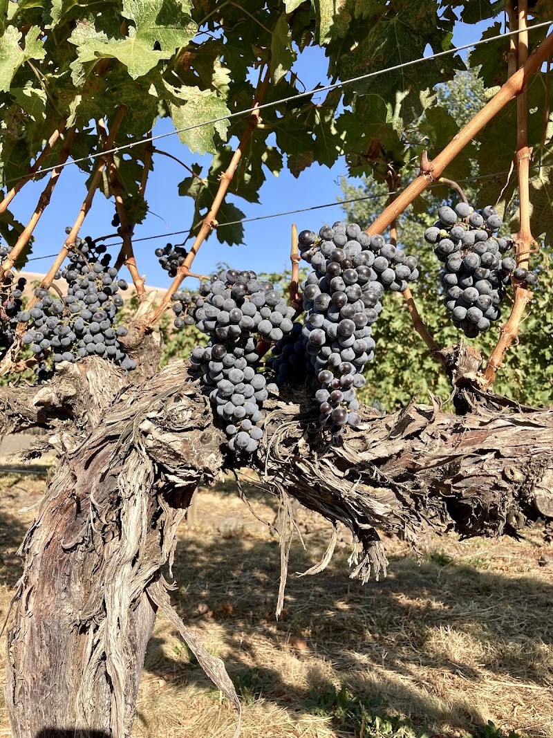 Photo of Mongata Winery