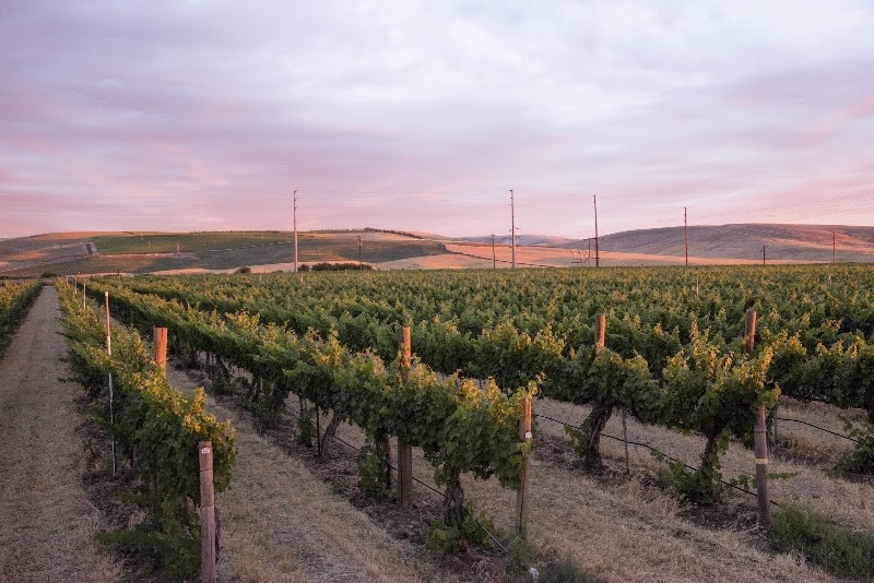 Photo of Seven Hills Winery