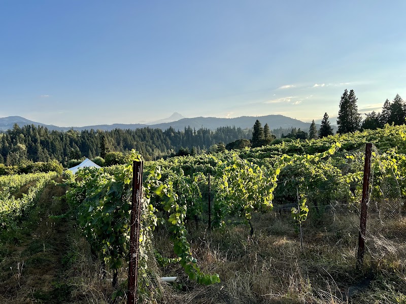 Photo of Hiyu Wine Farm