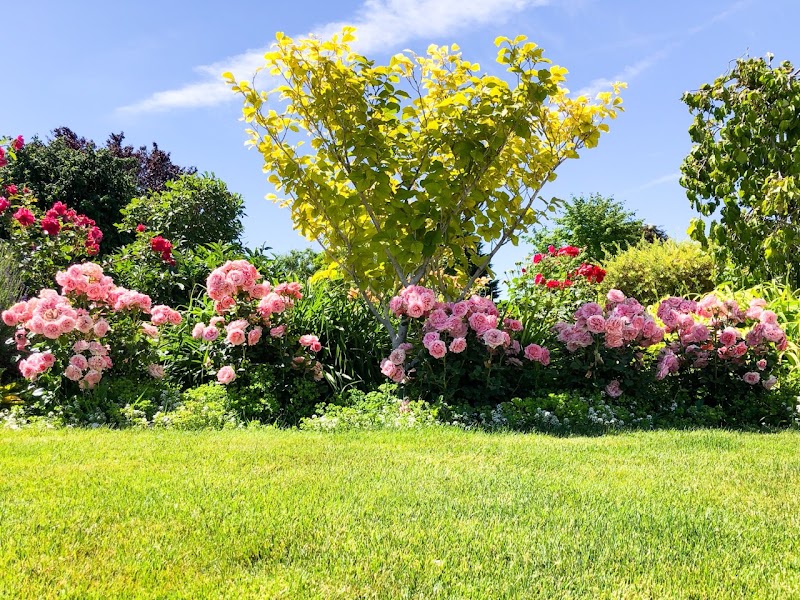 Photo of Sheridan Vineyard, The Garden