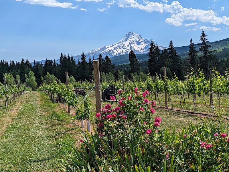 Photo of Grateful Vineyard