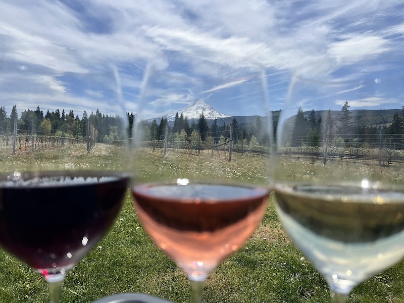 Photo of Grateful Vineyard