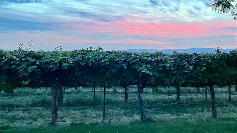 Photo of Barrel Springs Winery