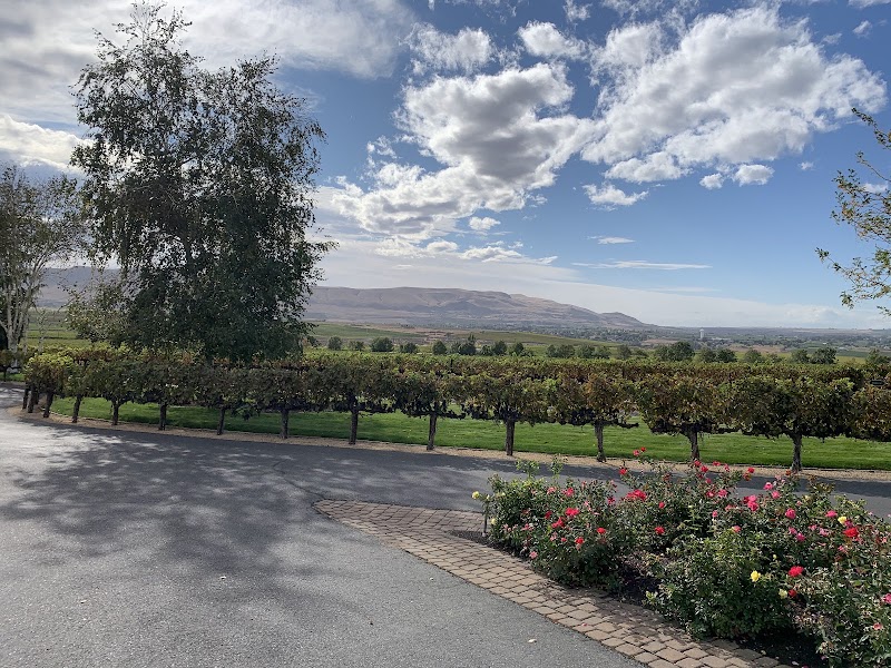 Photo of Hedges Family Estate