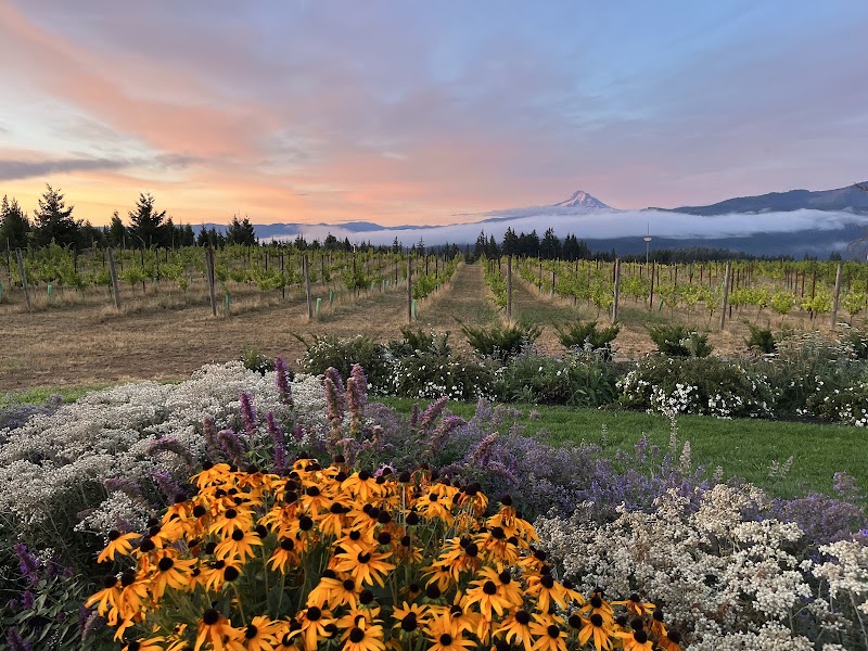 Crooked Acres Vineyard