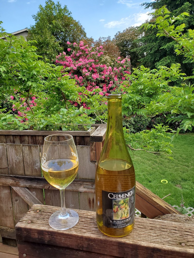 Photo of Celaeno Winery
