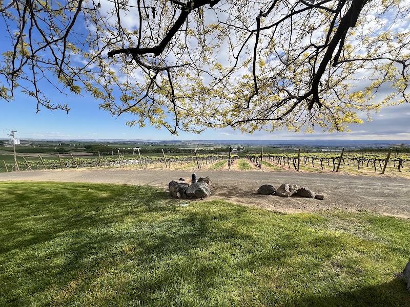 Photo of Bosma Estate Winery
