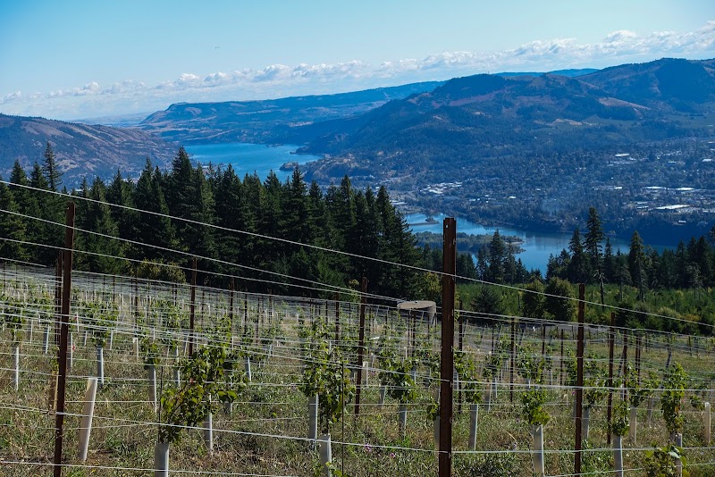 Photo of South Hill Winery
