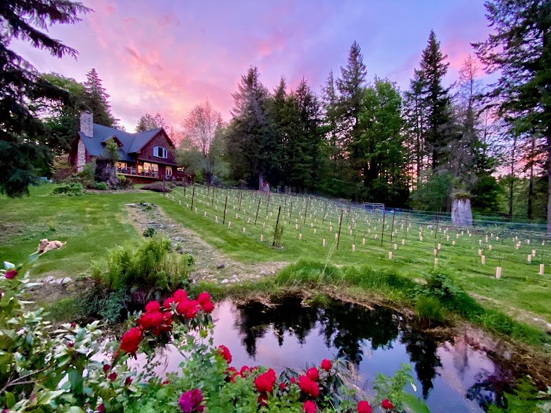 Photo of Chateau NoElle Vineyards & Winery