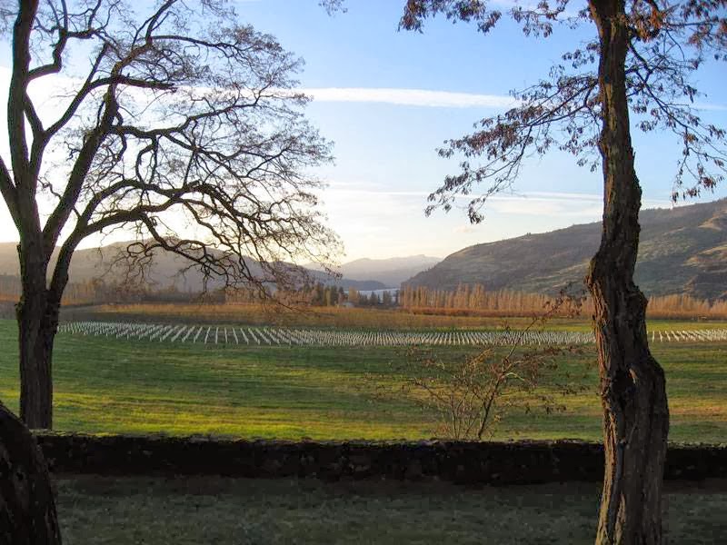 Photo of Garnier Vineyards