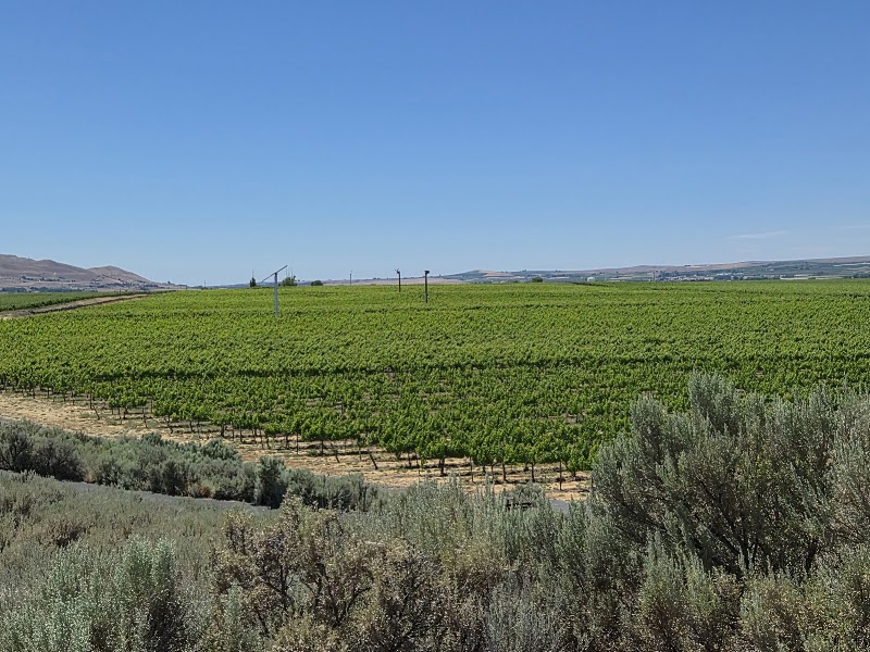 Photo of Kiona Vineyards and Winery