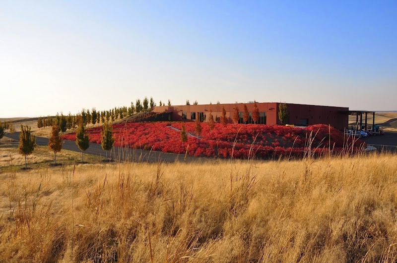Photo of Long Shadows Winery