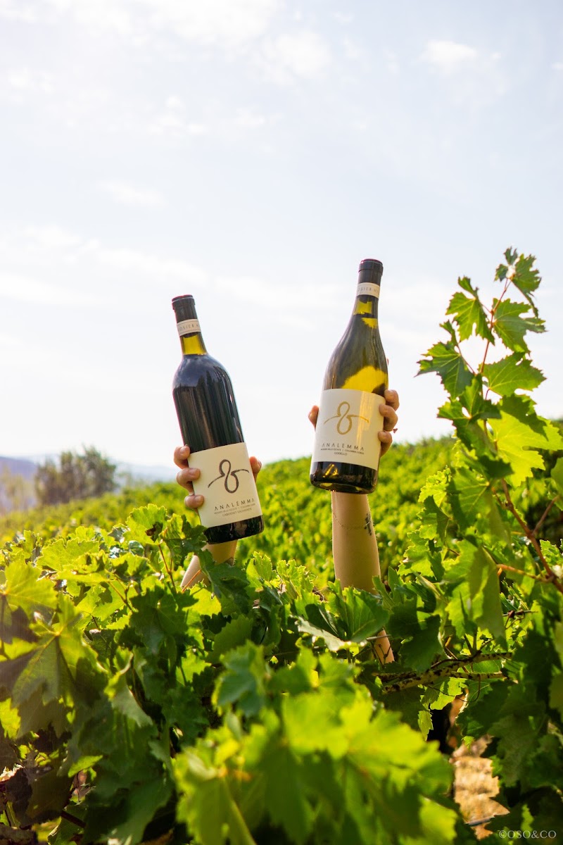 Photo of Analemma Wines