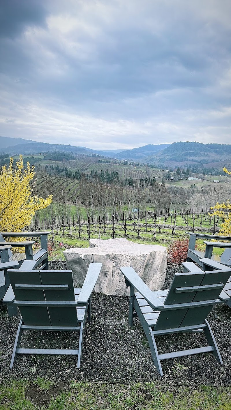 Photo of Analemma Wines