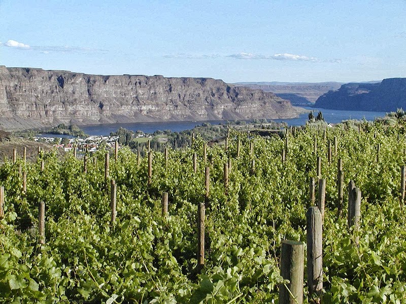 Photo of White Heron Cellars