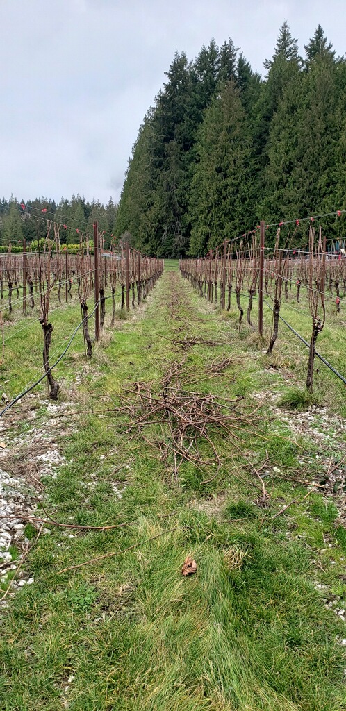 Photo of Bayernmoor Cellars - Woodinville