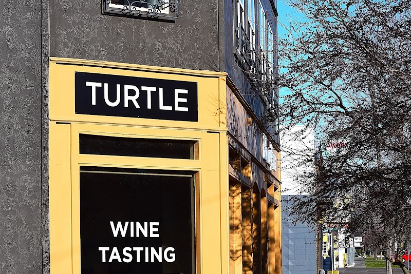 Photo of Turtle Wines